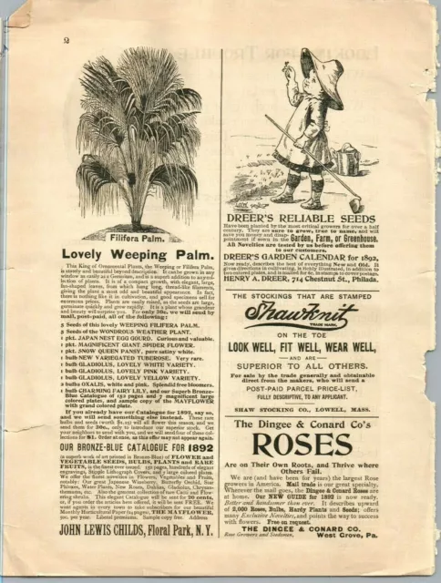 1892 Original Seed Company Garden Planting Catalog ORIGINAL PAPER AD 3270