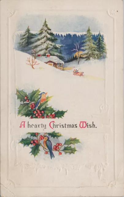 Christmas Birds holly snow scene horse drawn sleigh embossed postcard A641