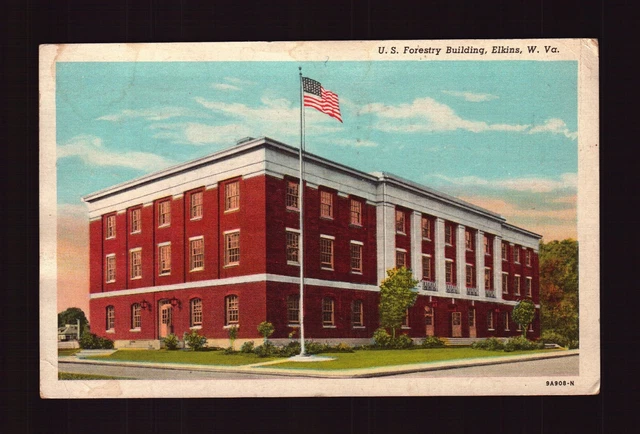 Postcard : West Virginia - Elkins Wv - Us Forestry Building 1945 Linen View