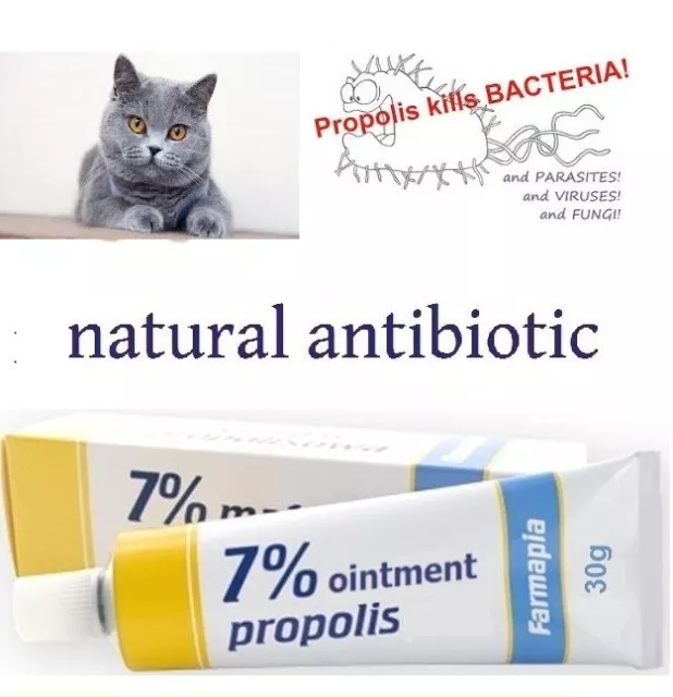 Antibacterial Antifungal Skin Infection treatment cream for Cat and Animal  Pets