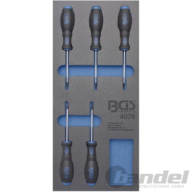 BGS INSERTO CARRELLO OFFICINA 1/3 profilo T6-T10 TX cacciaviti set 5 pezzi