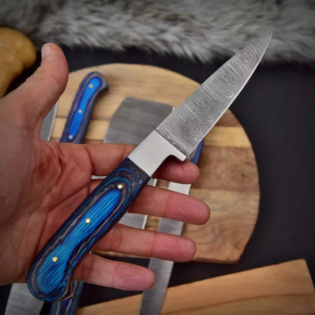 Custom Made DAMASCUS STEEL CHEF KNIFE Set Kitchen Knives X494