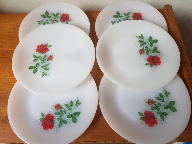 Lot 6 Petites Assiettes Plates Arcopal France D 19,5 Cm Décor Floral Rouge - Vendu
