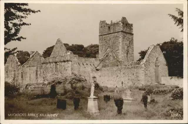 11384394 Killarney Kerry Muckross Abbey Killarney