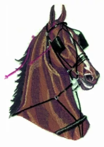 Embroidered Sweatshirt - Harness Pony BT2714 Sizes S - XXL