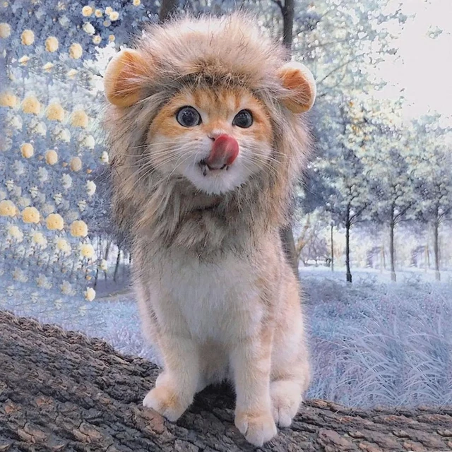 Abiti di leone gatto capelli divertenti maniglie per animali domestici parrucca copricapo cappello costume # U4O
