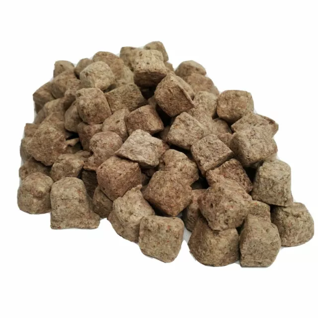 Brine Shrimp Cubes - Freeze Dried for All Tropical Fish