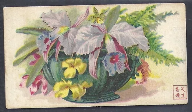 American Cigarette Co. (China)-Flowers-#07- Scarce Card!!!