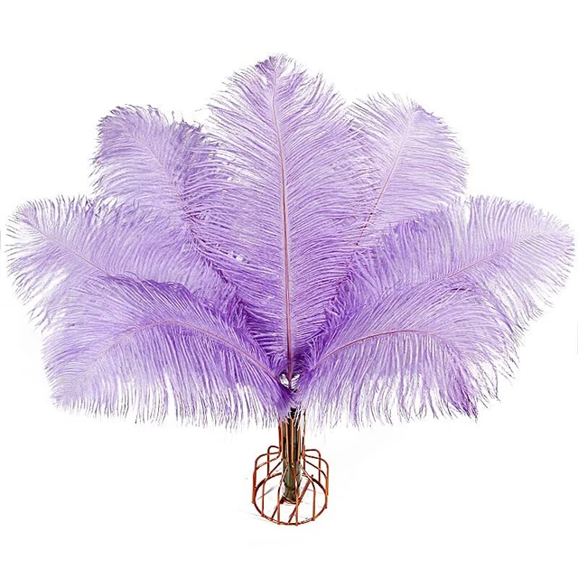 iHUFeather 20pcs Lavender Ostrich Feathers Natural Bulk 10-12Inch 25-30cm for