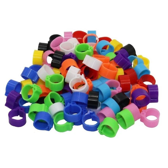 200PCS En Plastique Racing Pigeon Leg Anneaux Bandes Oiseaux Accessoires 10mm