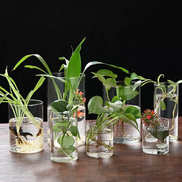 Mini Fish Tank Glass Aquarium Bottle Hydroponic Landscape Vessel Vase Decor