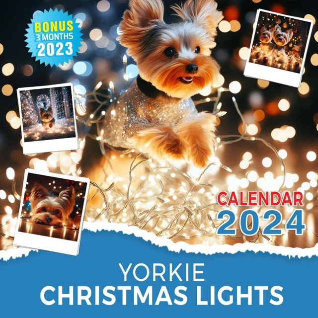 YORKIE CHRISTMAS LIGHTS Calendar 2024 Jan 2024 to Dec 2024 Bonus 3