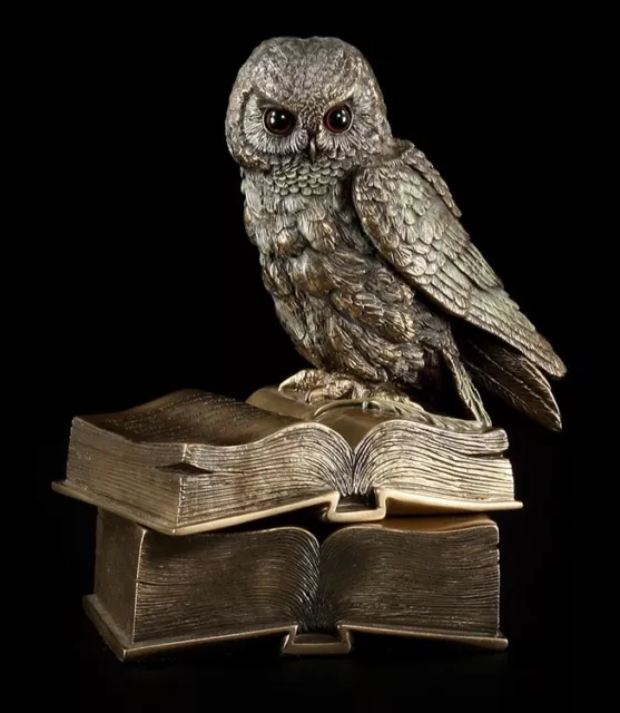 Schatulle - Eule sitzt auf Büchern - Figur Vogel Statue Veronese