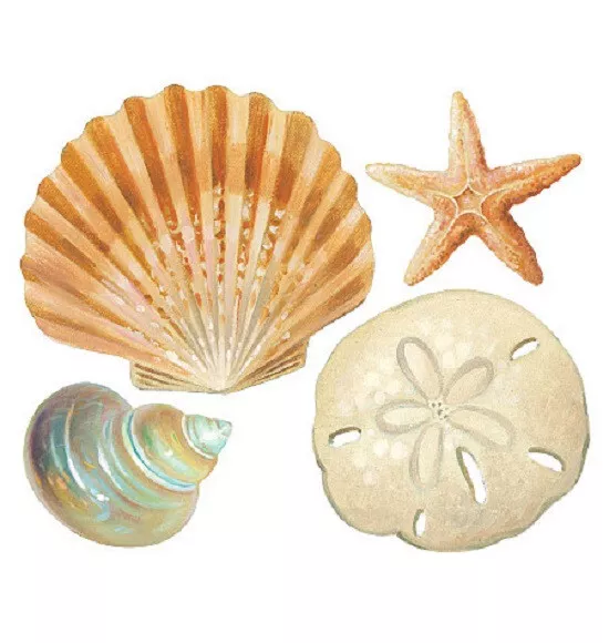 Wallies SEASHELLS wall stickers 11 decals sea ocean bathroom starfish shells