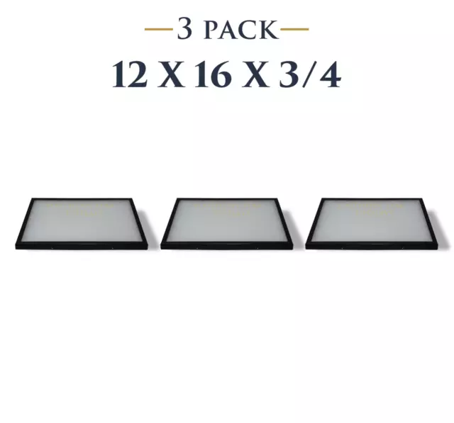 3 Pack of 12 x 16 x 3/4 Riker Display Cases Boxes for Collectibles Jewelry &More