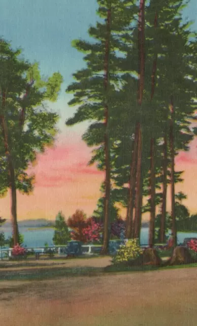 Golden Beach Campgrounds on Raquette Lake New York Linen Vintage Post Card