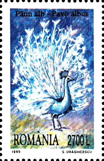 Rumänien postfrisch MNH Vogel Weißer Pfau Wildtier Fasan Hühnervogel Ziervogel