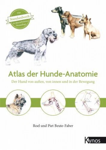 Atlas der Hundeanatomie|Piet Beute-Faber; Roel Beute-Faber|Gebundenes Buch