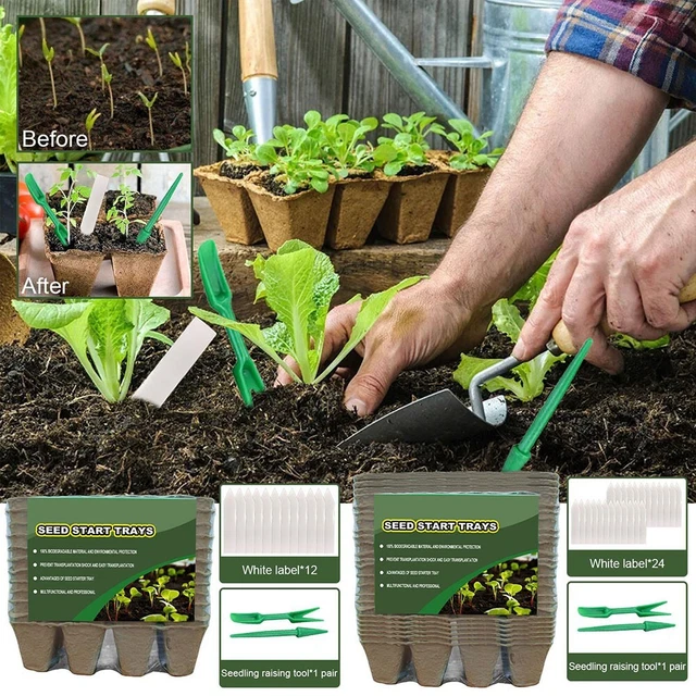 Etikett Pflanzschale Für Draußen Gartenarbeit Zu Hause Gemüsegarten Pflanzen