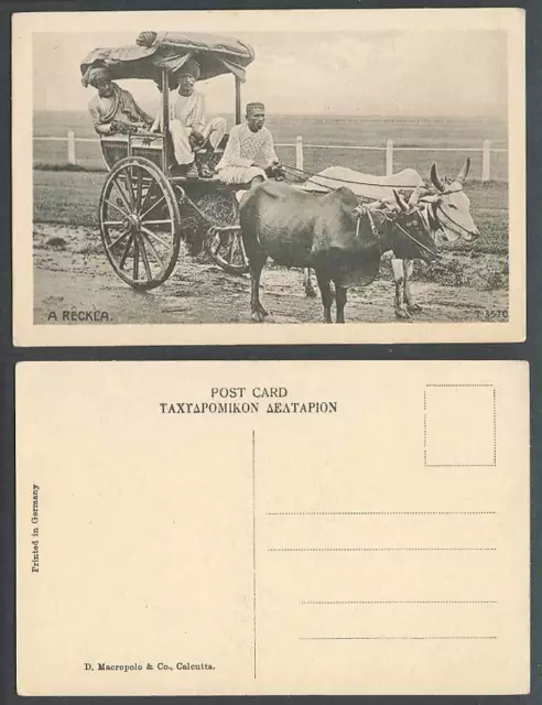 India Old Postcard A Reckla Bombay Double Bullock Cart Native Driver D Macropolo
