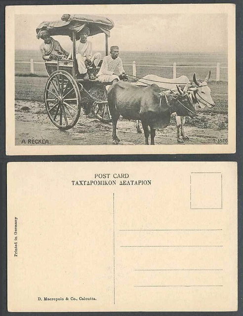 India Old Postcard A Reckla Bombay Double Bullock Cart Native Driver D Macropolo