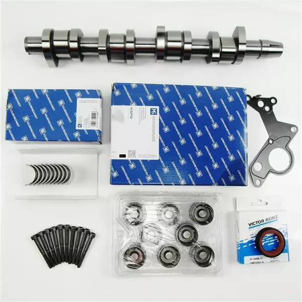 Arbre à Cames Kit Coussinet Visser Hydros Joint Wedi VW Audi 1,9 2,0 Tdi O. FAP