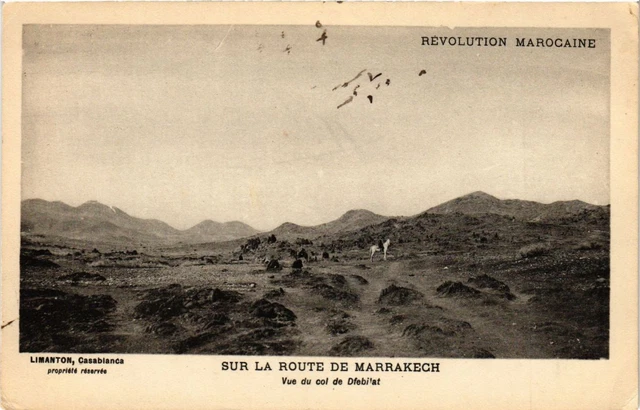 CPA Morocco Marrakech - On the road to Marrakech seen from the Dfebilat Pass (281021)
