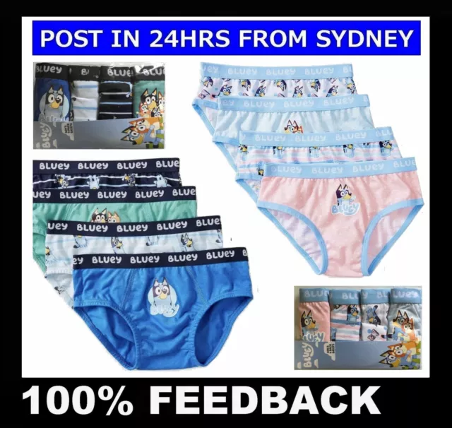 2 PACK BLUEY BINGO UNDERWEAR ~ Kids Boys Boxer Trunks Underpants Briefs