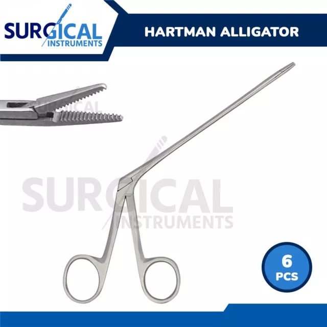 6 Alligator Forceps 6.5" Surgical Veterinary Instruments Stainless German Grade