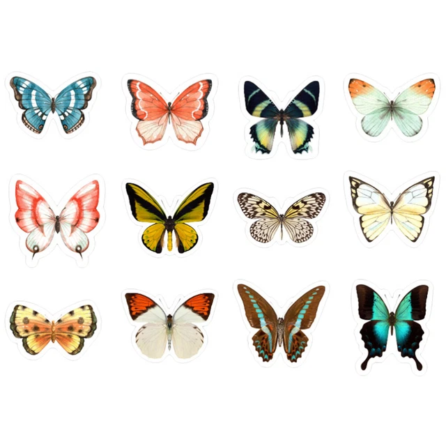 Autocollants Hirondelles Anti-Collision Pour Fenêtres - 6 Feuilles 20 Pièces - Protection Oiseaux