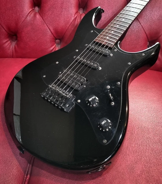 Black Dog by Aria pro Ⅱ ST type mod.（Vintage Aria Pro II