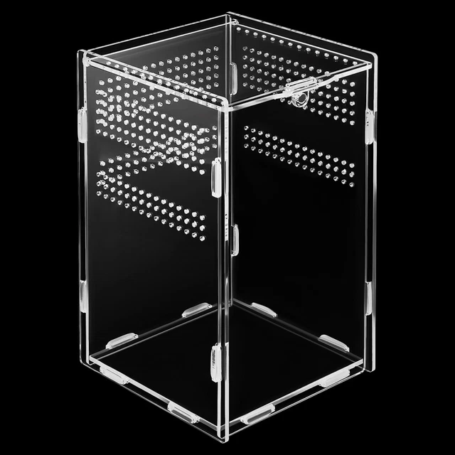 Boîte D'élevage En Plastique Transparent TOYANDONA – Pour Araignées, Mantes, Petits Insectes – 11x11x11 Cm