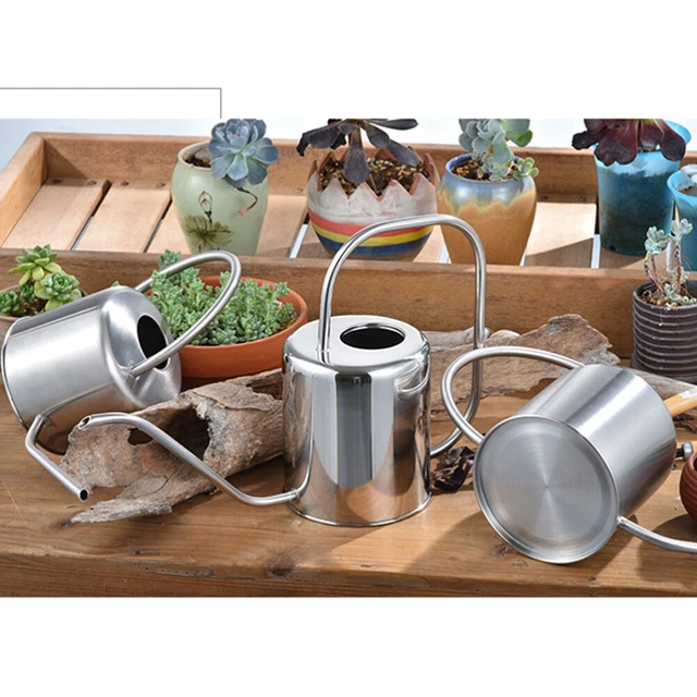 Large Watering Can Mini Watering Can Gooseneck Watering Can Succulents