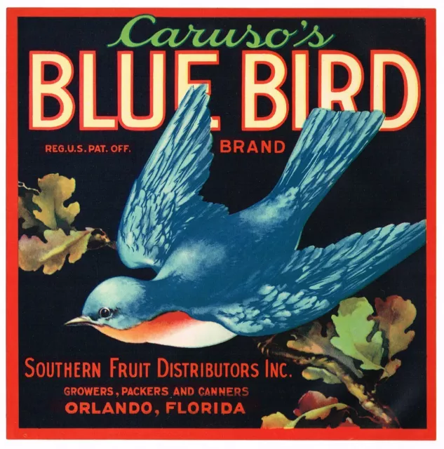 ORIGINAL C1930  CRATE LABEL FLORIDA ORANGE VINTAGE CARUSO BLUE BIRD ORLANDO 7x7"