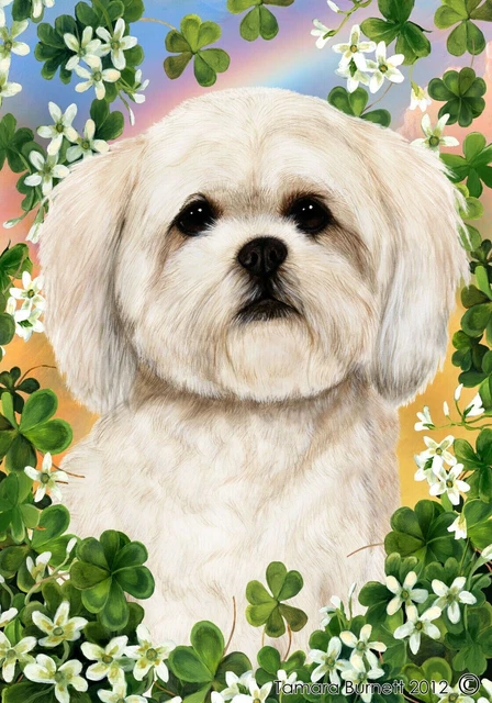Clover House Flag - White Lhasa Apso 32294