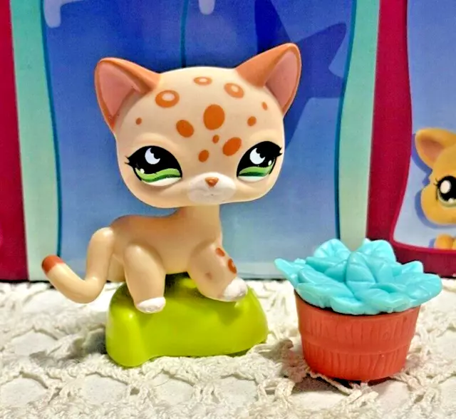 Lps shorthair hot sale cat leopard