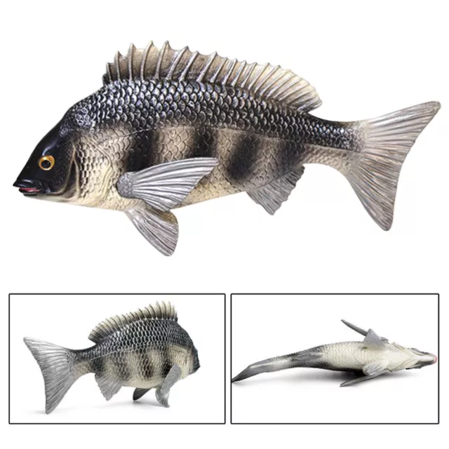 Wildlife Educational Toy Toys Simulation African Crucian Carp Solid
