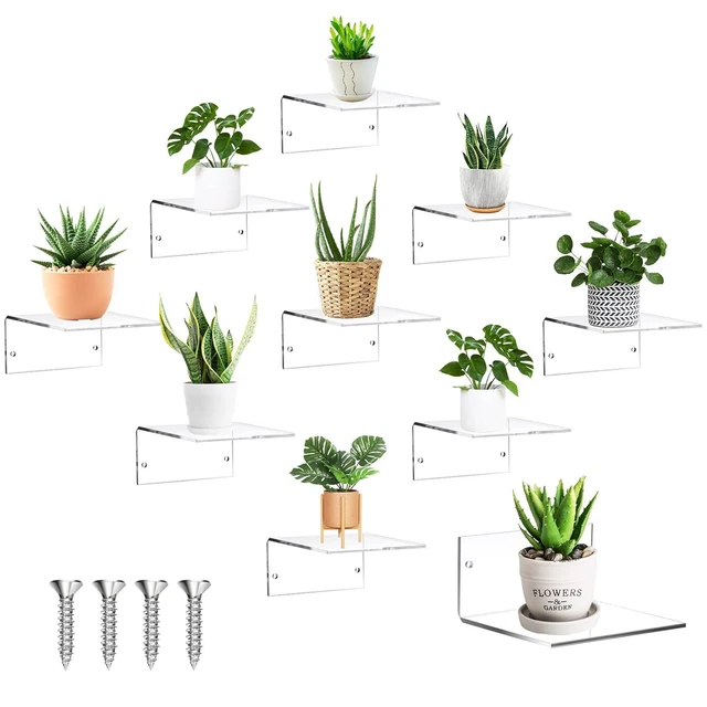 Small Adhesive Wall Shelves Acrylic Display Shelf Mini Floating Shelves Pop Sh