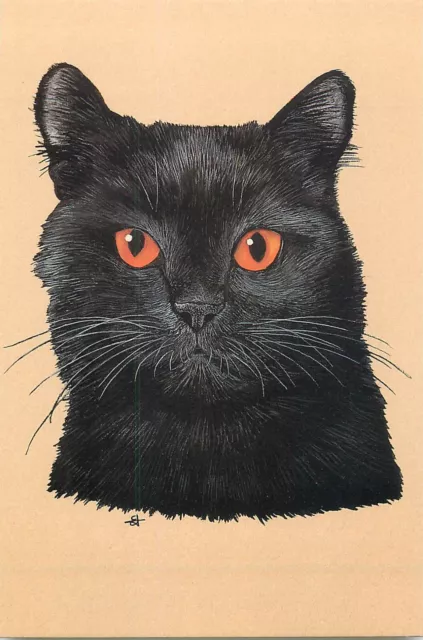 Cat "Carbonnel" from an original by Elizabeth Titcomb postcard