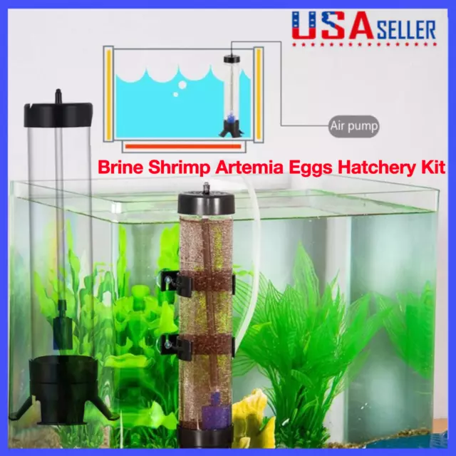 Brine Shrimp Hatchery Fish Tank Shrimp Egg Incubator Aquarium Incubation Equipme