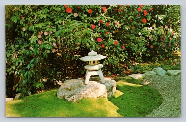 Descanso Gardens La Canada, California Japanese Garden VINTAGE Postcard