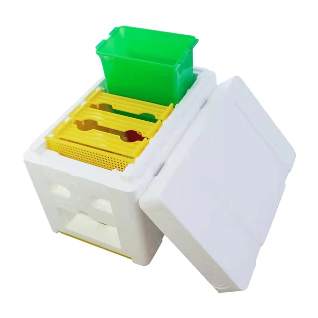 Beginners Beekeeping Apiculture Marquage Reine Zerodis 10Pcs Cages U00e0 Reines, Apiculture U00c9levage Tasse Kit En Plastique Abeille Reine Cage De Kit Elevage Coccinelle Beekeepers Starter