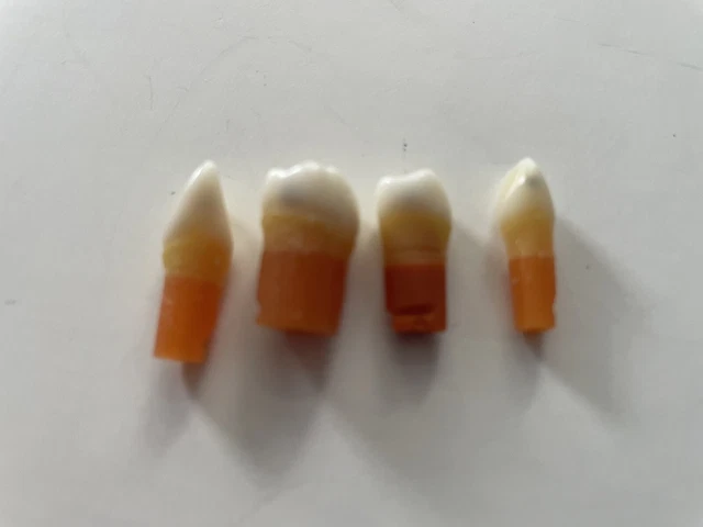 Acadental teeth CDCA/WREB/ADEX for operative exam