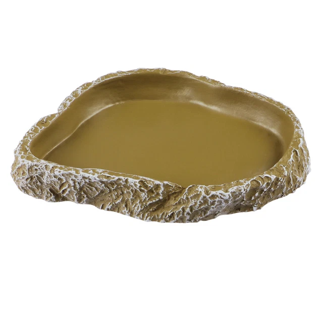 Bambú vivario comida agua plato tortuga gecko serpiente mascota naranja