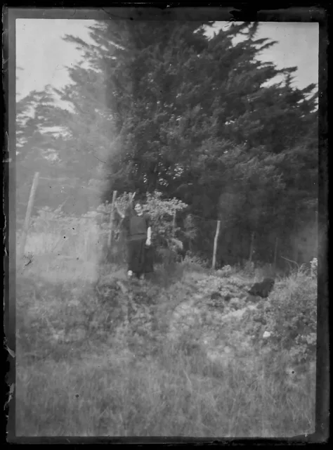 Plate Glass Photo Antique Black and White Negative 9x12 CM Woman Nature Glass