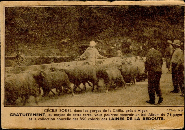 CE1043 algeria chiffa cecile sorel france actrice laines de redoute advertising