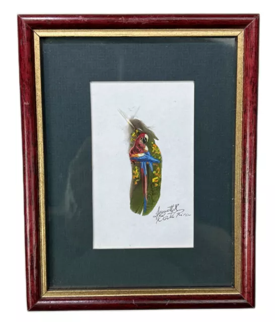 PAINTED FEATHER PARROT Bird Framed Art Picture Costa Rica Jeanette R ...