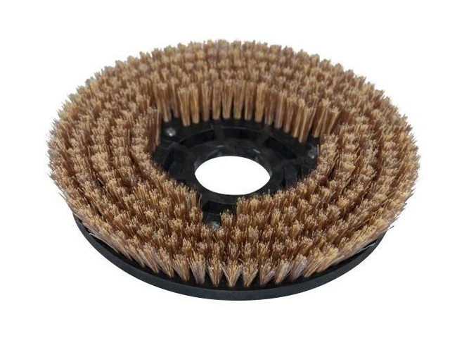 Optimalbürste pour Comac C 50 / CB 50 / L Abila 52, Brosse
