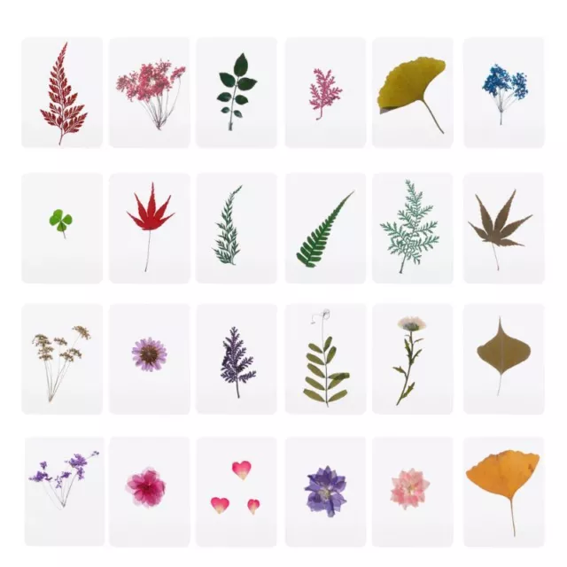 and Leaves Plant Fillers DIY Resin Art Cards Scrapbooking
