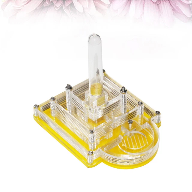 Hábitat de granja de hormigas